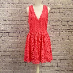 NWT. Alice + Olivia Lace Dress Size 10